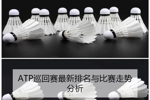 ATP巡回赛最新排名与比赛走势分析